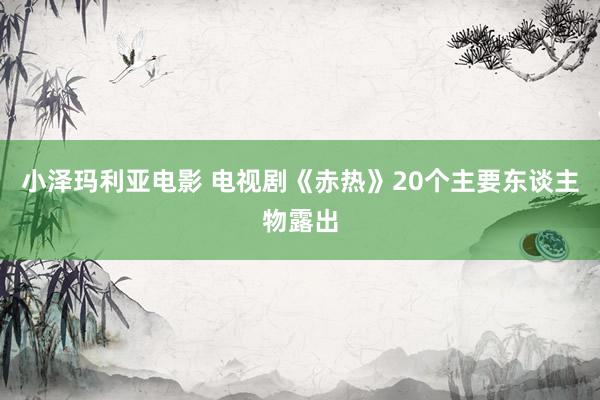 小泽玛利亚电影 电视剧《赤热》20个主要东谈主物露出