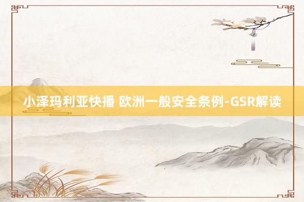 小泽玛利亚快播 欧洲一般安全条例-GSR解读