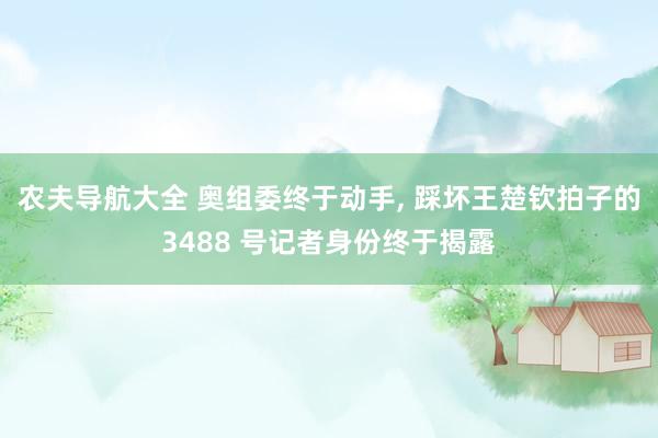 农夫导航大全 奥组委终于动手， 踩坏王楚钦拍子的3488 号记者身份终于揭露