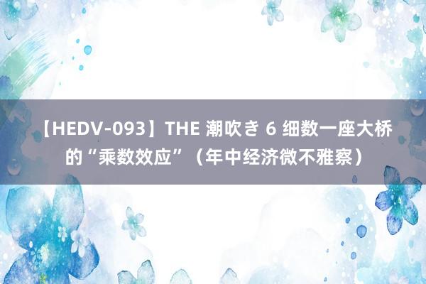 【HEDV-093】THE 潮吹き 6 细数一座大桥的“乘数效应”（年中经济微不雅察）