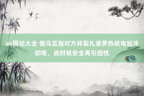 av网站大全 俄乌互指对方碎裂扎波罗热核电站冷却塔，战时核安全再引担忧