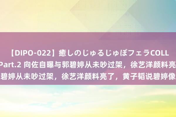 【DIPO-022】癒しのじゅるじゅぽフェラCOLLECTION50連発4時間 Part.2 向佐自曝与郭碧婷从未吵过架，徐艺洋颜料亮了，黄子韬说碧婷像他