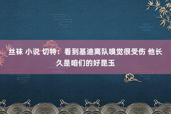 丝袜 小说 切特：看到基迪离队嗅觉很受伤 他长久是咱们的好昆玉