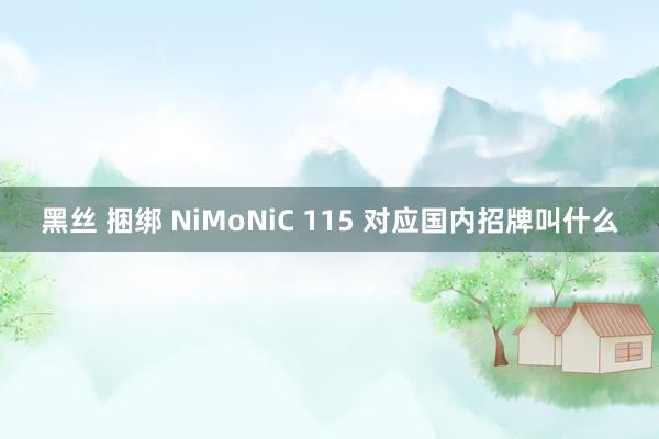 黑丝 捆绑 NiMoNiC 115 对应国内招牌叫什么