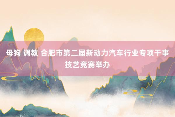 母狗 调教 合肥市第二届新动力汽车行业专项干事技艺竞赛举办