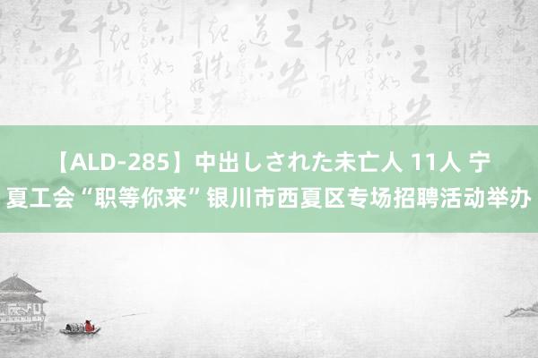 【ALD-285】中出しされた未亡人 11人 宁夏工会“职等你来”银川市西夏区专场招聘活动举办