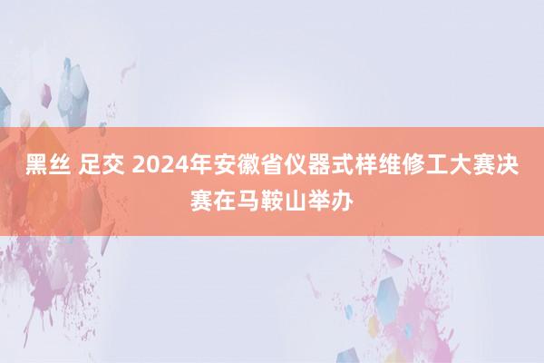 黑丝 足交 2024年安徽省仪器式样维修工大赛决赛在马鞍山举办