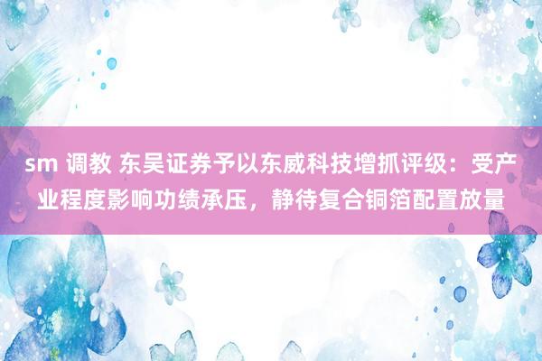 sm 调教 东吴证券予以东威科技增抓评级：受产业程度影响功绩承压，静待复合铜箔配置放量