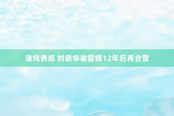 清纯诱惑 刘德华谢霆锋12年后再合营