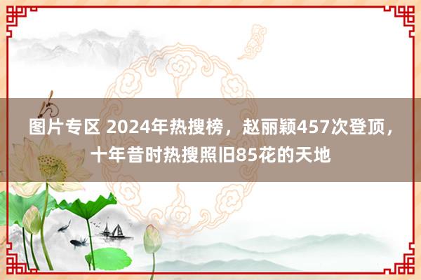 图片专区 2024年热搜榜，赵丽颖457次登顶，十年昔时热搜照旧85花的天地